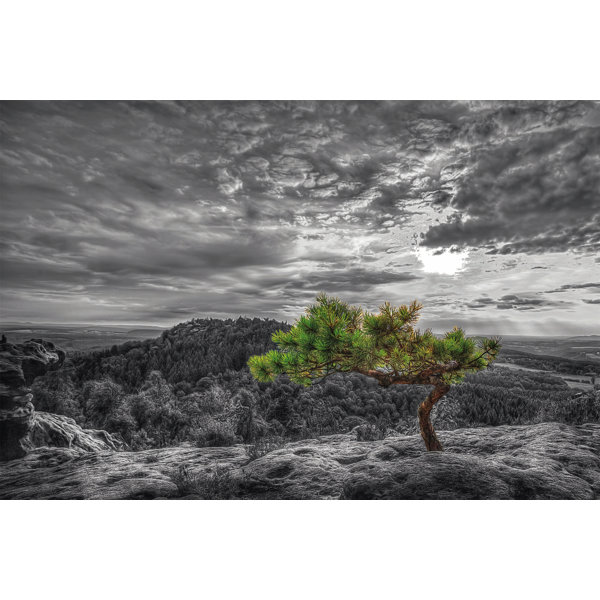 ModernMoments Glasbild | Wayfair.de